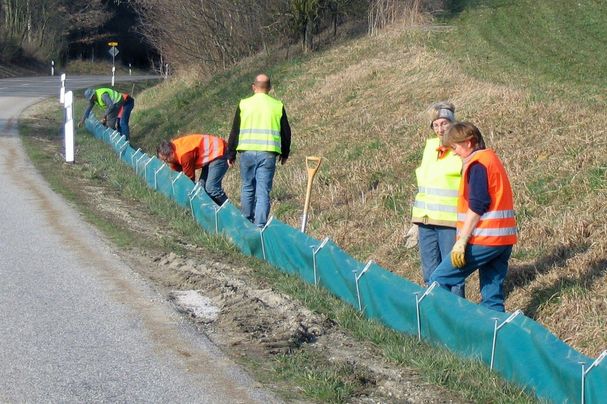 Krötenzaun; Foto: Paul Riederer Krötenzaun; Foto: Paul Riederer