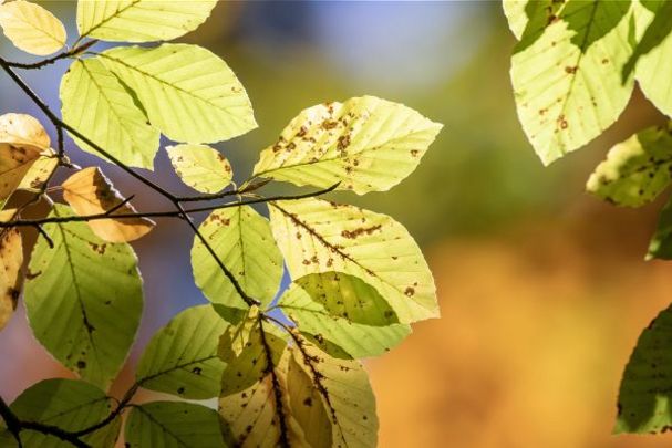 Foto: Sonja Kreil Foto: Sonja Kreil