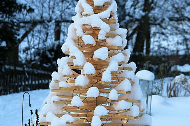 Alternativer Weihnachtsbaum; Foto: Johannes Sel Alternativer Weihnachtsbaum; Foto: Johannes Sel