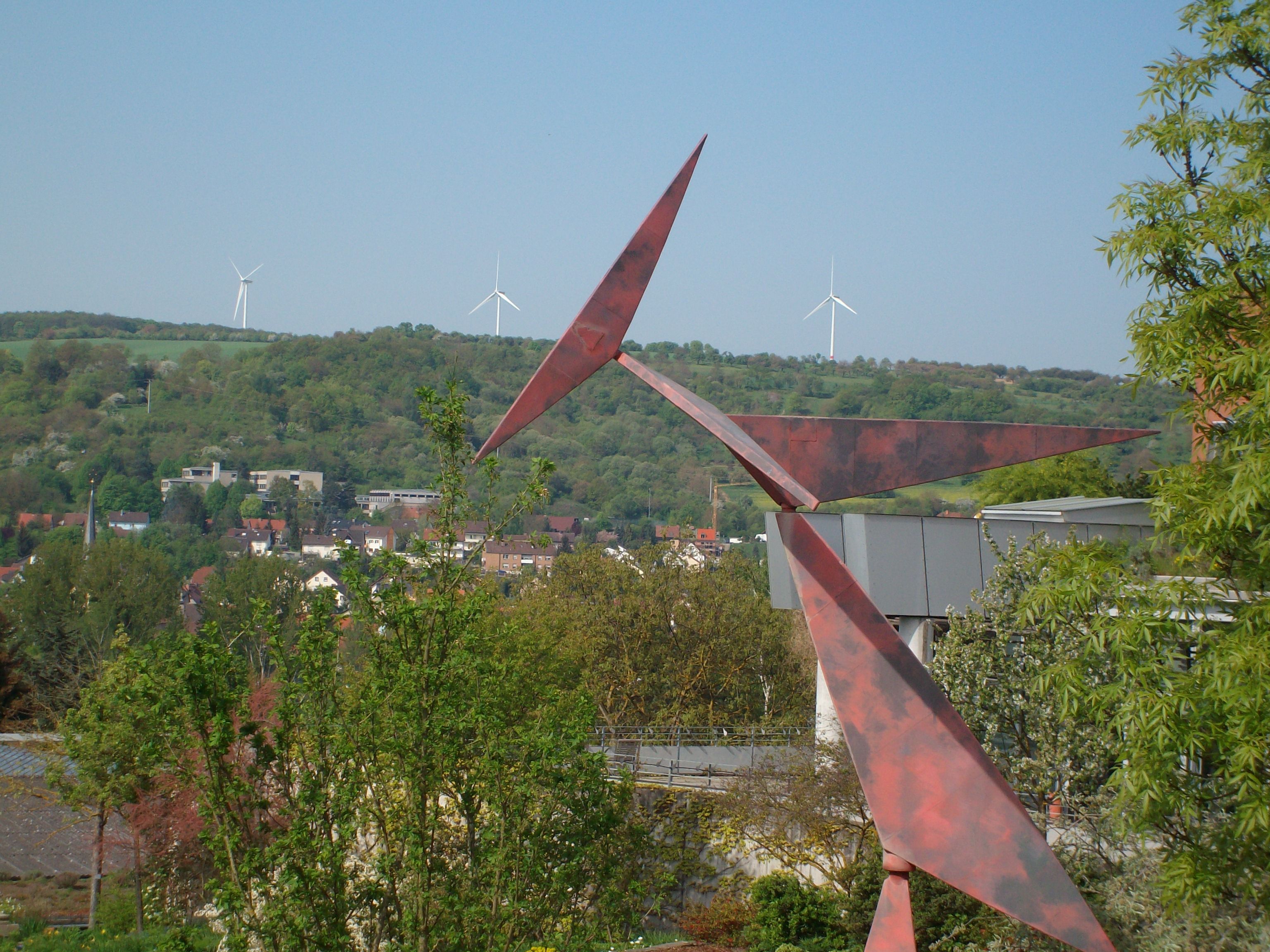 Feuchtfläche Am Grünsee | Foto: BN-Ortsgruppe Veitshöchheim
